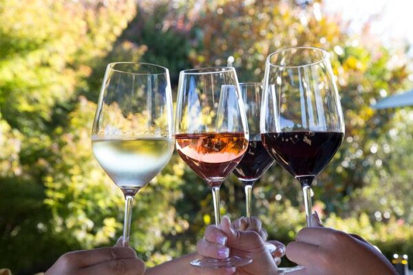 Wine Tours In Maryland